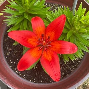 Meet your Posher, Katelyn